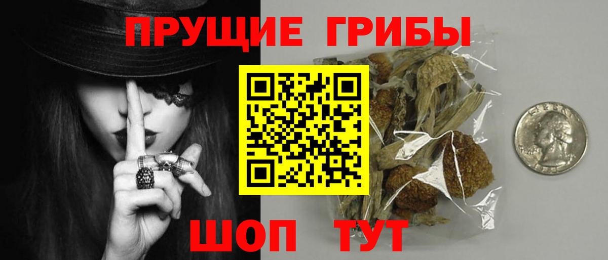 купить закладку  Псилоцибиновые грибы мухоморы  Вход с VPN  Сургут 
